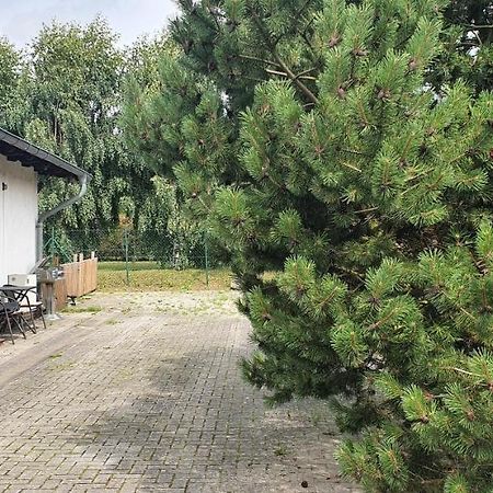 Ferienwohnung In Gristow Mesekenhagen Eksteriør bilde